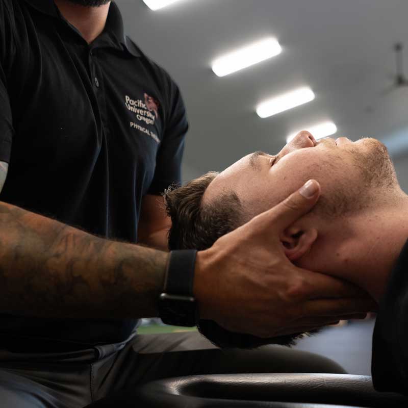 chiropractic and physical therapy